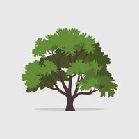 Sophisticated Flat-Style Tree on a White Background vector