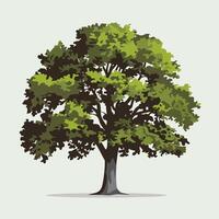 A tree with green leaves on a white background vector