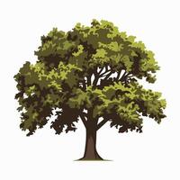 A tree with green leaves on a white background vector