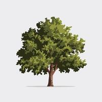 Stylized Tree in a Modern Flat Look vector