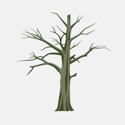 A tree with no leaves on a white background