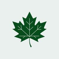 A green maple leaf icon on a white background vector