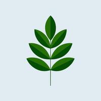 A green leaf icon on a white background vector