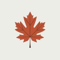 A maple leaf is shown in a flat design vector