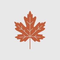 A maple leaf icon on a white background vector