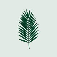 A palm leaf icon on a light background vector