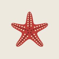 Flat Starfish Design with Clean White Background vector