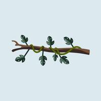 A branch with leaves on it, with a snake on it vector