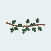 A branch with leaves on it, with a blue background vector