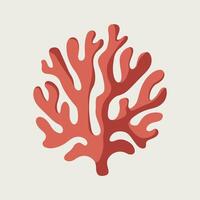 A coral on a white background vector