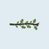 A branch with leaves on it is shown in a flat design vector