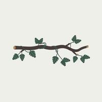 A branch with leaves on it vector
