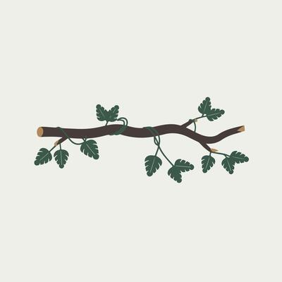 A branch with leaves on it