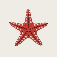 A red starfish with black dots on it vector
