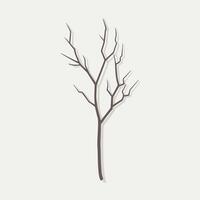 A tree with no leaves on it is shown vector