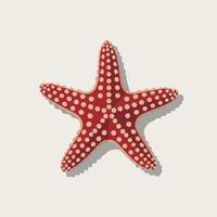 A Flat-Style Starfish on a Plain White Background vector