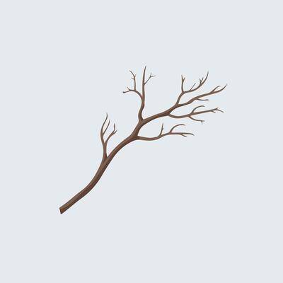A tree branch with no leaves on it