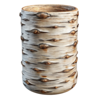 extraordinary artistic Birch Tree Bark Pattern Detailed View Cutout authentic png