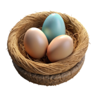 wonderful abstract Bird Nest with Eggs Isolated on Transparent Background exclusive png