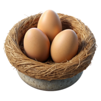 dramatic abstract Bird Nest Transparent Background with Eggs original png
