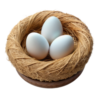 wonderful contemporary Bird Nest with Eggs Isolated on Transparent Background high resolution png