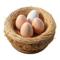 elegant classic Bird Nest with Eggs Isolated on Transparent Background high resolution png