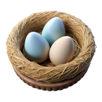 extraordinary rustic Bird Nest with Eggs Isolated on Transparent Background professional png