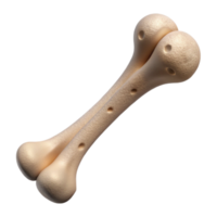 dramatic modern Bone Structure Detailed Illustration Isolated Transparent Background high resolution png