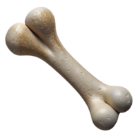 magnificent abstract Bone Structure Detailed Illustration Isolated Transparent Background original png