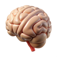 impressive modern Brain Anatomy Diagram Isolated Illustration high resolution png