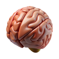 impressive classic Brain Model Angled View Cutout Element high quality png
