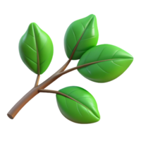 extraordinary artistic Branch with Green Leaves Transparent Background authentic png