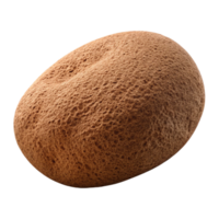 stunning abstract Brown Konjac Sponge Isolated on Transparent Background authentic png