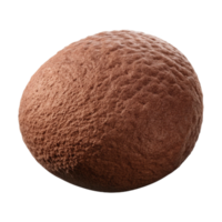 serene classic Brown Konjac Sponge Isolated on Transparent Background premium png