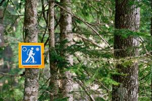 Walking route sign in winter hangs on a tree in the park photo