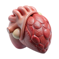 stunning traditional D Printed Organ with Realistic Texture Transparent Element authentic png