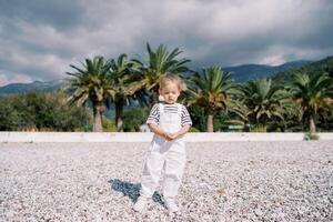 Little girl stands on the beach and looks at the pebbles in her hands photo