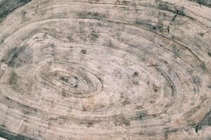 Texture of sawn wood with rings, cracks and stains photo