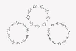 Frames with flower branches and plants. Hand drawn festive spring or summer borders for text. Design elements for congratulating of holidays, invitation, Mother's Day, birthday. For flyer, card vector