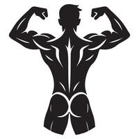 Rear Silhouette View Showing a Bodybuilder Back Muscles and Fitness vector