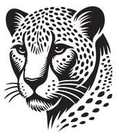 Detailed leopard illustration with spots for wildlife graphics vector