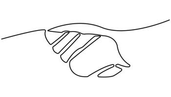 abstract sea shell continuous one line drawing vector