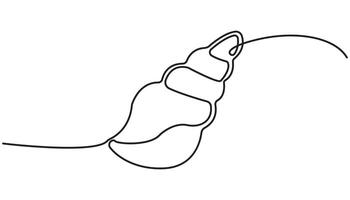 sea shell continuous one line drawing hand drawing vector
