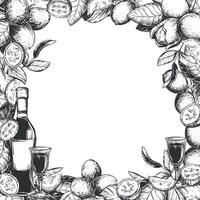 Square frame of walnuts, liqueur bottles, aperitif glasses. illustration in engraving technique. Design for Nocino liqueur. Unripe walnuts whole and pieces, leaves and space for text. vector