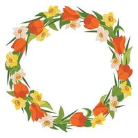 Beautiful wreath of tulips and daffodils isolated on white background. Round frame with red, yellow and white spring flowers, gift for Mother's Day. Colorful illustration in flat style. vector
