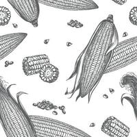 Corn seamless pattern. Background with linear sketch of whole corn cobs with leaves, maize pieces and grains. Old drawing in retro engraving style. Hand drawn realistic ink sketch. vector