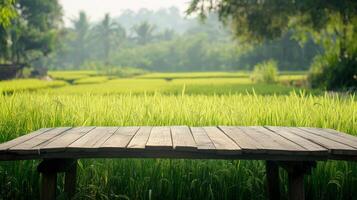 Wooden tabletopfor product and rice field in the morning. Natural background photo