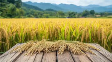 Rice field and wood tabletop with nature background for product, Selective focus photo