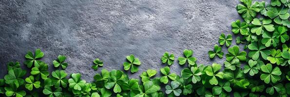 Green clover leaves on stone background. St.Patrick's Day concept with copy space for text photo