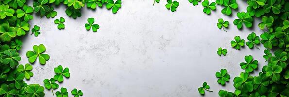 Banner St. Patrick's Day background with green clover leaves. Top view with copy space for text photo